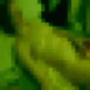 Juliette (34 ans) à Sainte-Flaive-des-Loups cherche un plan cul aujourd'hui