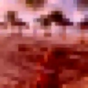 plan cul à Sainte-Flaive-des-Loups : profil de Ursule, 23 ans - sans engagement