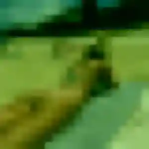 Irina, 30 ans, dispo pour plan cul à Sainte-Foy-lès-Lyon