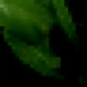 Profil de Capucine à Sainte-Gauburge-Sainte-Colombe (30 ans) - plan cul sans inscription