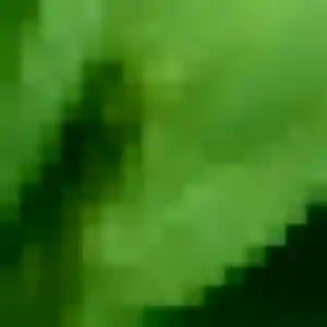 Rencontre Ludivine, 33 ans à Sainte-Geneviève-des-Bois en t'inscrivant