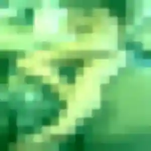 Charmante Yvonne, 32 ans à Sainte-Hélène-Bondeville - voir sa photo