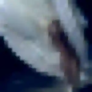 Djamila, femme de 39 ans veut plan cul à Sainte-Marie