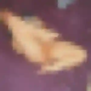 Yasmine, femme de 35 ans cherche plan cul à Sainte-Opportune-du-Bosc