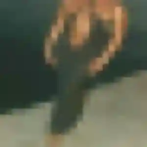 Photo de Nolwenn à Sainte-Sévère-sur-Indre (23 ans) - plan cul discret