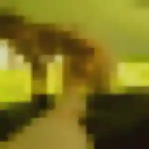 Rejoins Ursule, 36 ans à Salignac-sur-Charente en privé
