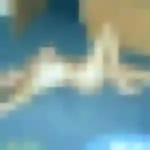 Lea, femme de 22 ans veut plan cul à Salignac