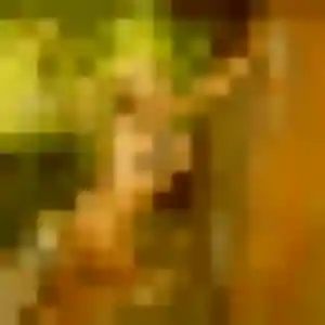 Photo privée de Dominique, 30 ans à Salins - rencontre coquine