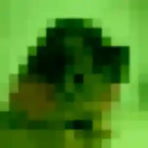 Photo de Virginie à Sallebœuf (32 ans) - plan cul anonyme