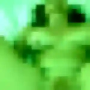 Photo de Elodie à Sallenôves (44 ans) - plan cul anonyme