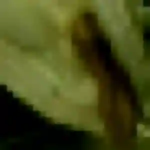 Myriam, 35 ans, cherche un plan cul à Salornay-sur-Guye