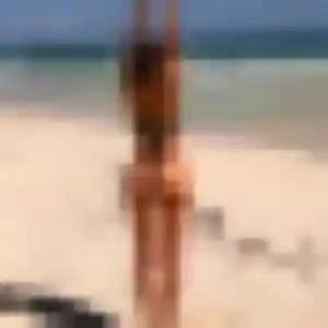 Photo de Apolline à Sap-en-Auge (23 ans) - plan cul gratuit