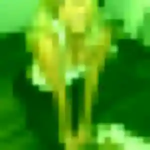 Rejoins Flore, 29 ans à Saulxures-sur-Moselotte en privé