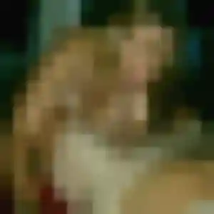 Photo exclusive de Anne-Sophie, 32 ans à Sauveterre-de-Comminges - rencontre coquine