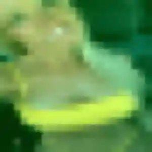 Photo de Cassandre à Sceaux-sur-Huisne (22 ans) - plan cul anonyme