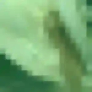 Madeleine, 41 ans, connectée à Seilhac pour une rencontre coquine