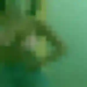 Luna, 45 ans, en ligne à Selles-Saint-Denis pour une rencontre coquine