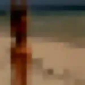Sarah-Lou (38 ans) à Serbonnes cherche une rencontre rapidement