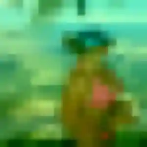 Photo perso de Eleonore, 44 ans à Sevran - rencontre coquine
