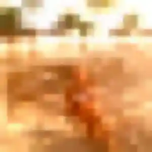 Blanche, 31 ans, disponible à Sillé-le-Guillaume pour un plan cul