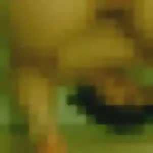 Suzanne, 32 ans, dispo pour plan cul à Soignolles-en-Brie