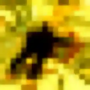 Rejoins Capucine, 26 ans à Sommières-du-Clain en t'inscrivant