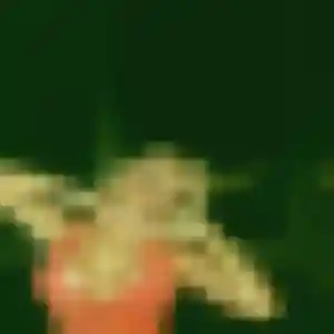 Laure, 36 ans, cherche un plan cul à Soulac-sur-Mer