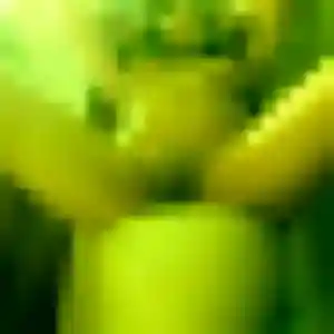 Photo de Solene à Squiffiec (39 ans) - plan cul anonyme