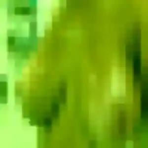 Amelie, 37 ans, cherche un plan cul à Steenvoorde