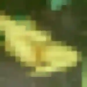 Alix, 26 ans, en ligne à Steinbrunn-le-Haut pour une rencontre coquine