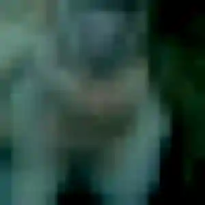 Albane, 27 ans, en ligne à Strasbourg pour une rencontre coquine