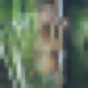 Nathalie (44 ans) à Talmont-Saint-Hilaire attend une rencontre rapidement