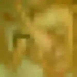 Delphine (33 ans) à Tarabel cherche un plan cul maintenant