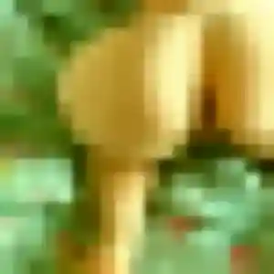 Profil de Noemie à Taverny (39 ans) - plan cul gratuit