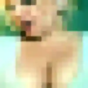 Photo exclusive de Beatrice, 33 ans à Tendu - rencontre sans lendemain