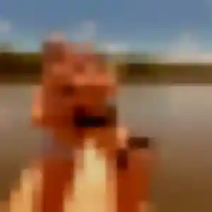 Profil de Karine à Thézan-lès-Béziers (45 ans) - plan cul anonyme