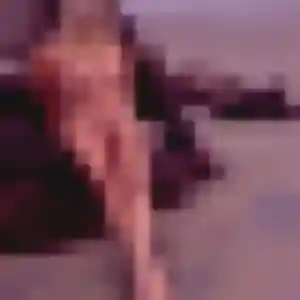 Candice (42 ans) à Thiennes attend une rencontre aujourd'hui