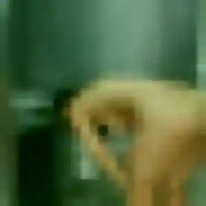 Profil de Maya à Thimory (25 ans) - plan cul gratuit