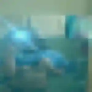 Lise, 38 ans, cherche un plan cul à Thorigné-Fouillard