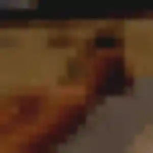 Photo de Flore à Thorigny-sur-Marne (42 ans) - plan cul anonyme
