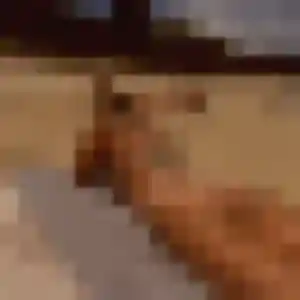 plan cul à Touffreville-la-Corbeline : profil de Nour, 38 ans - sans engagement