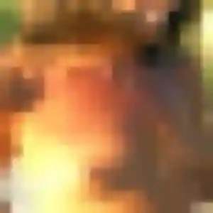 plan cul à Tour-en-Bessin : profil de Chloe-Anne, 29 ans - inscription gratuite