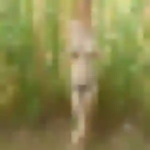plan cul à Tourch : profil de Daphne, 24 ans - inscription gratuite