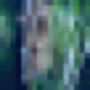 Jolie Anais, 22 ans à Tourville-la-Campagne - voir sa photo