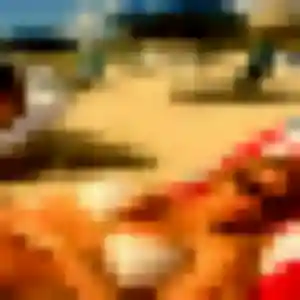 Anais, femme de 32 ans cherche plan cul à Tourville-la-Rivière