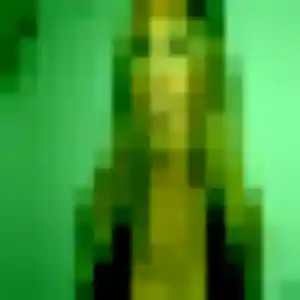 Louane de Tourville-la-Rivière, 40 ans - plan cul en toute liberté