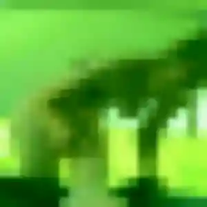 Rejoins Ursule, 29 ans à Tourville-les-Ifs gratuitement