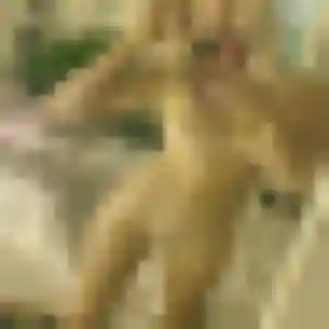 Photo sexy de Karine, 43 ans à Tourville-sur-Arques - rencontre sans lendemain