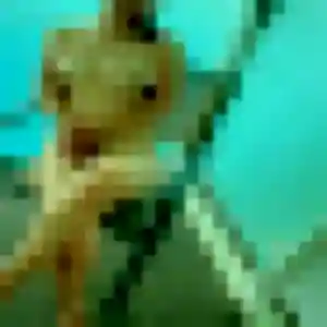 Photo exclusive de Wanda, 22 ans à Trégarantec - rencontre coquine
