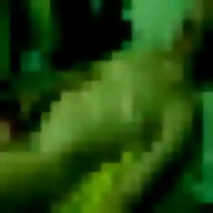 Photo perso de Constance, 35 ans à Treize-Vents - rencontre coquine